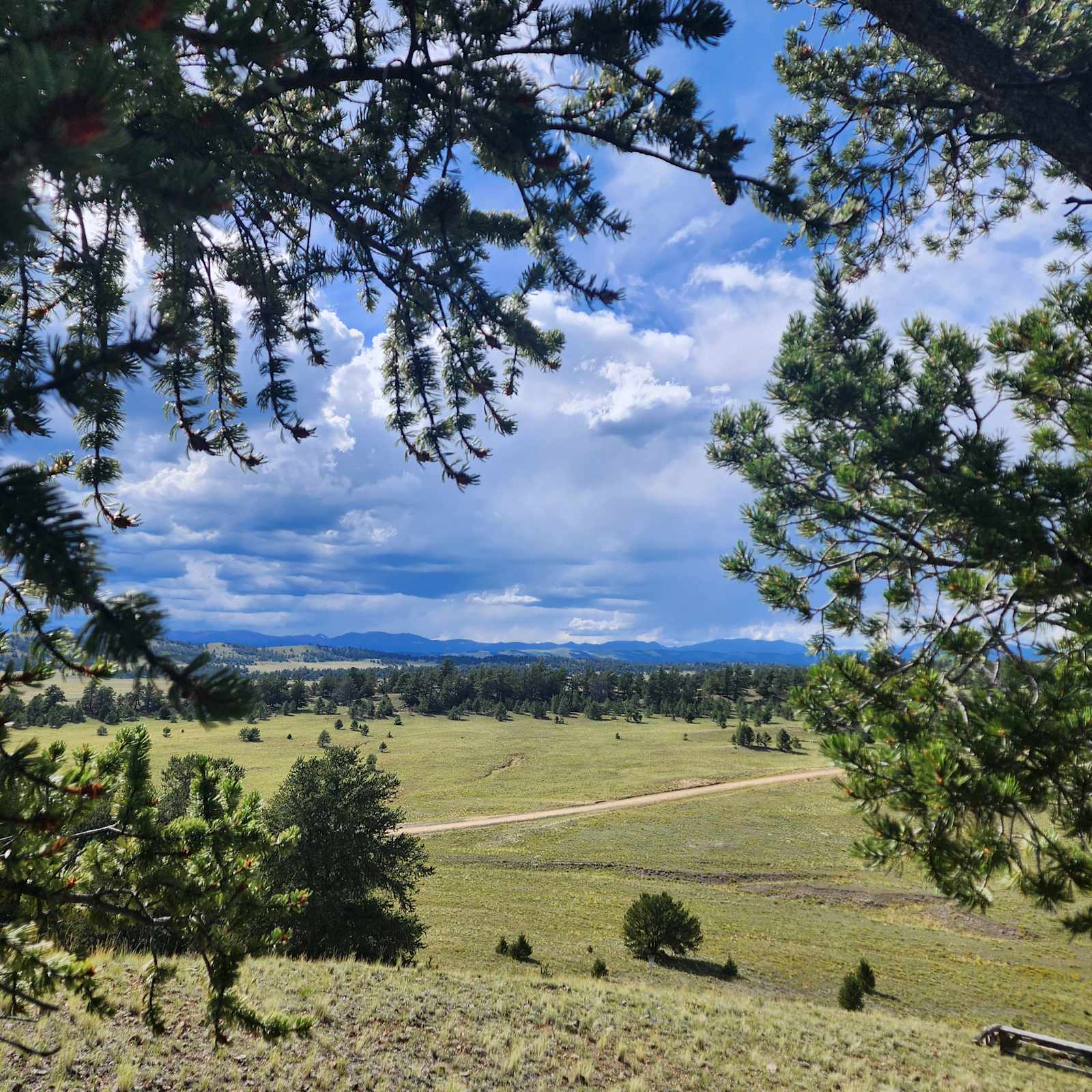 Dreamtime Ranch - Hartsel, Colorado - glamping.directory