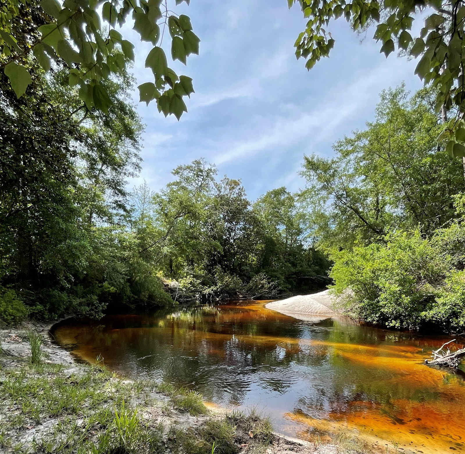 Larry & Sheila's Blackwater Getaway - glamping.directory