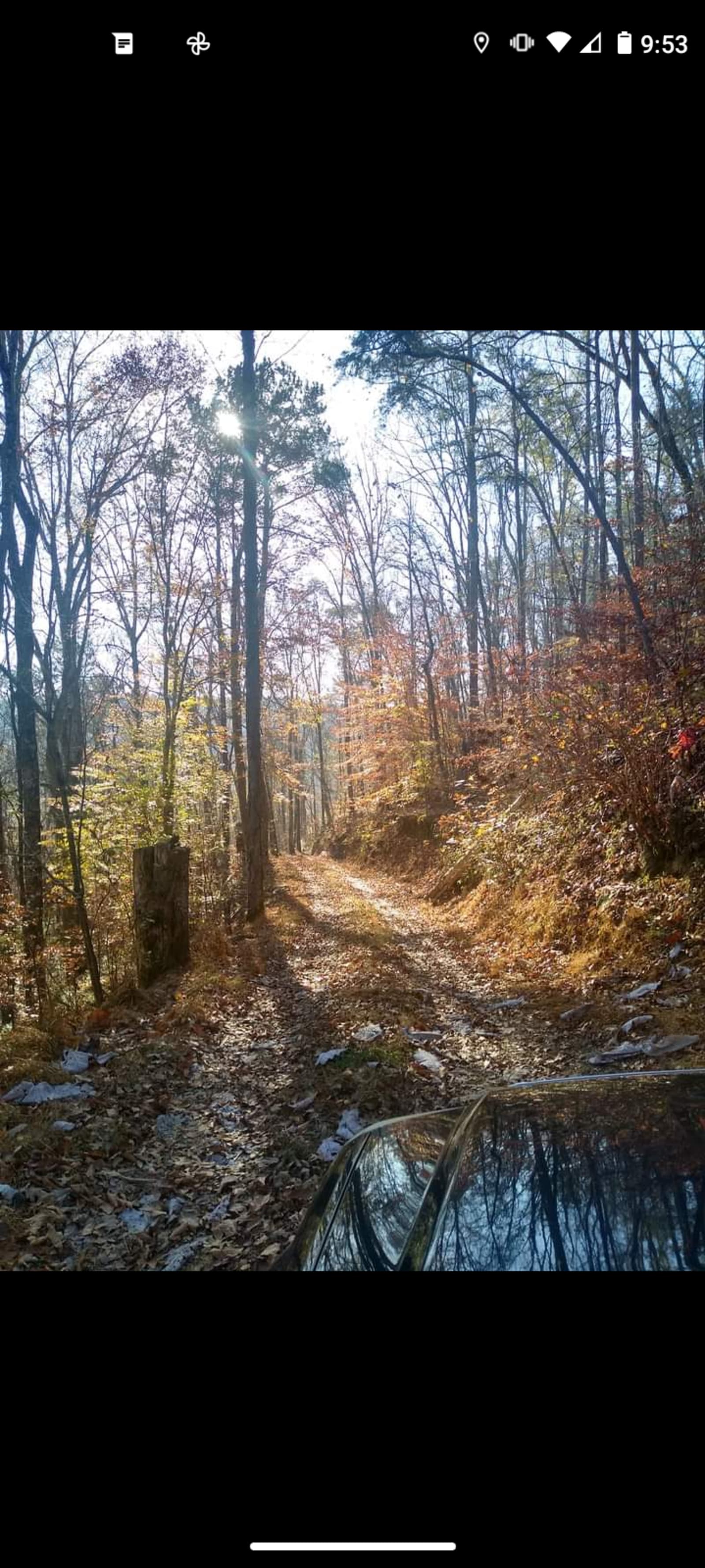 Bug Tussle Creek Bend - Colony, Alabama - glamping.directory