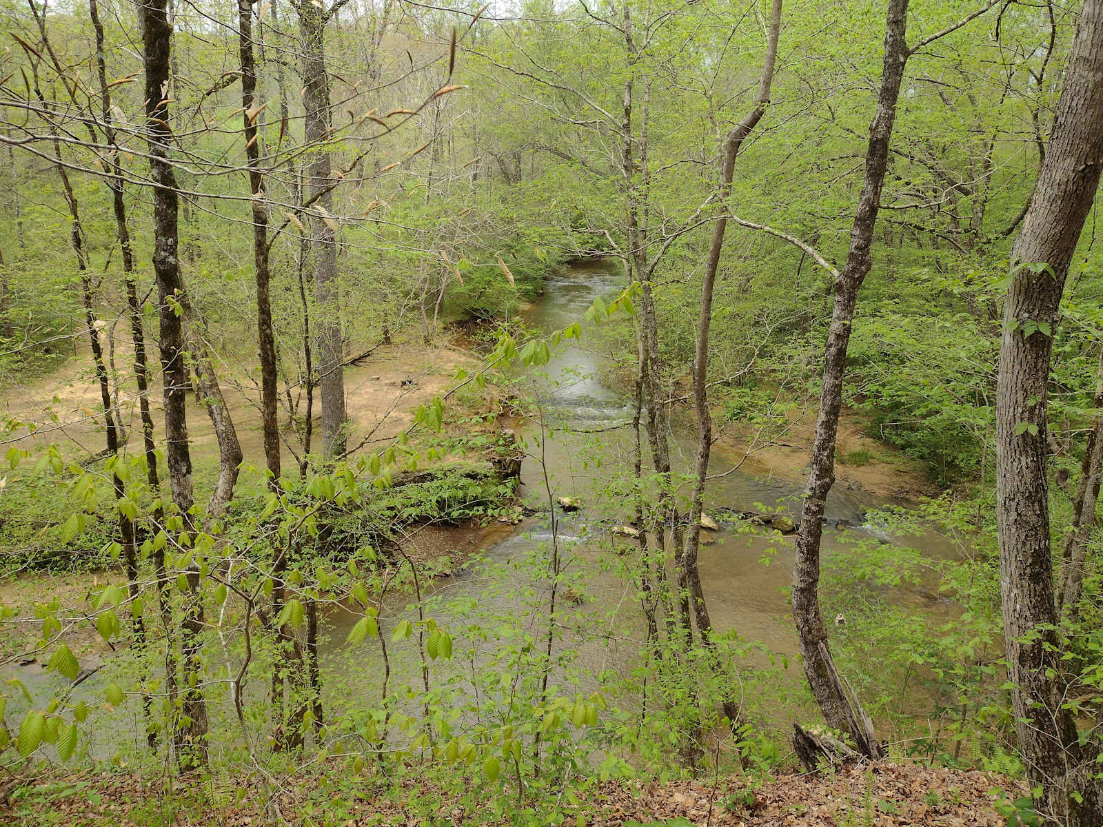 Bug Tussle Creek Bend - Colony, Alabama - glamping.directory