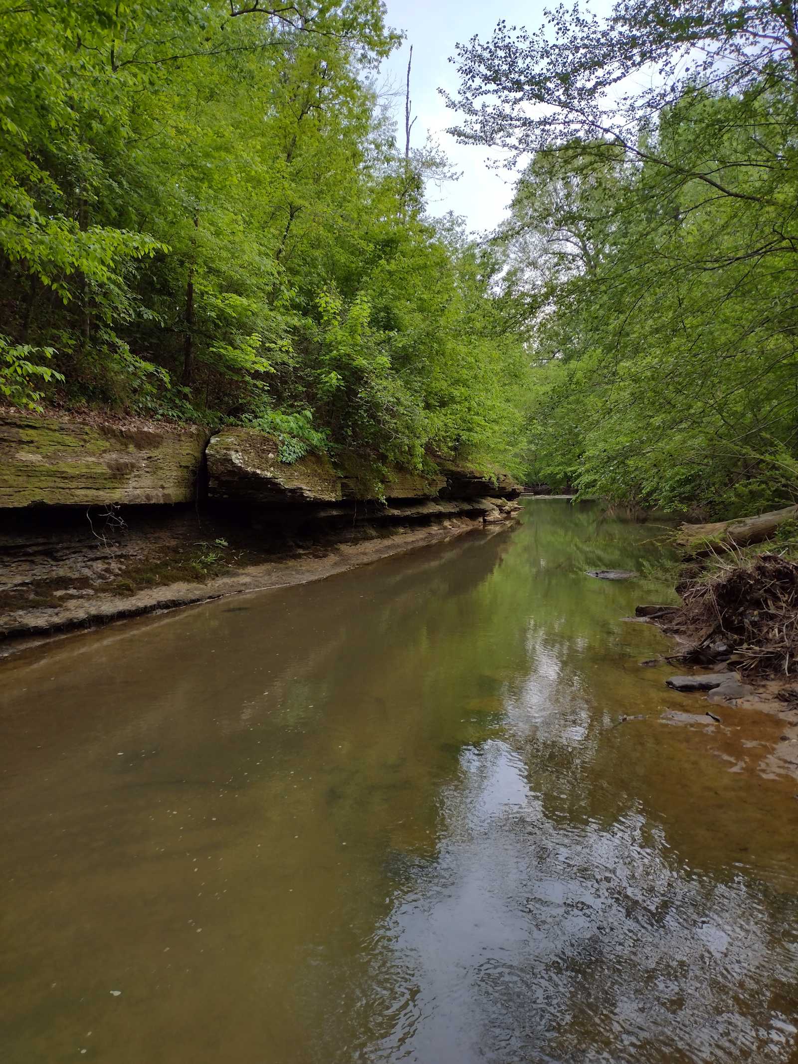 Bug Tussle Creek Bend - Colony, Alabama - glamping.directory