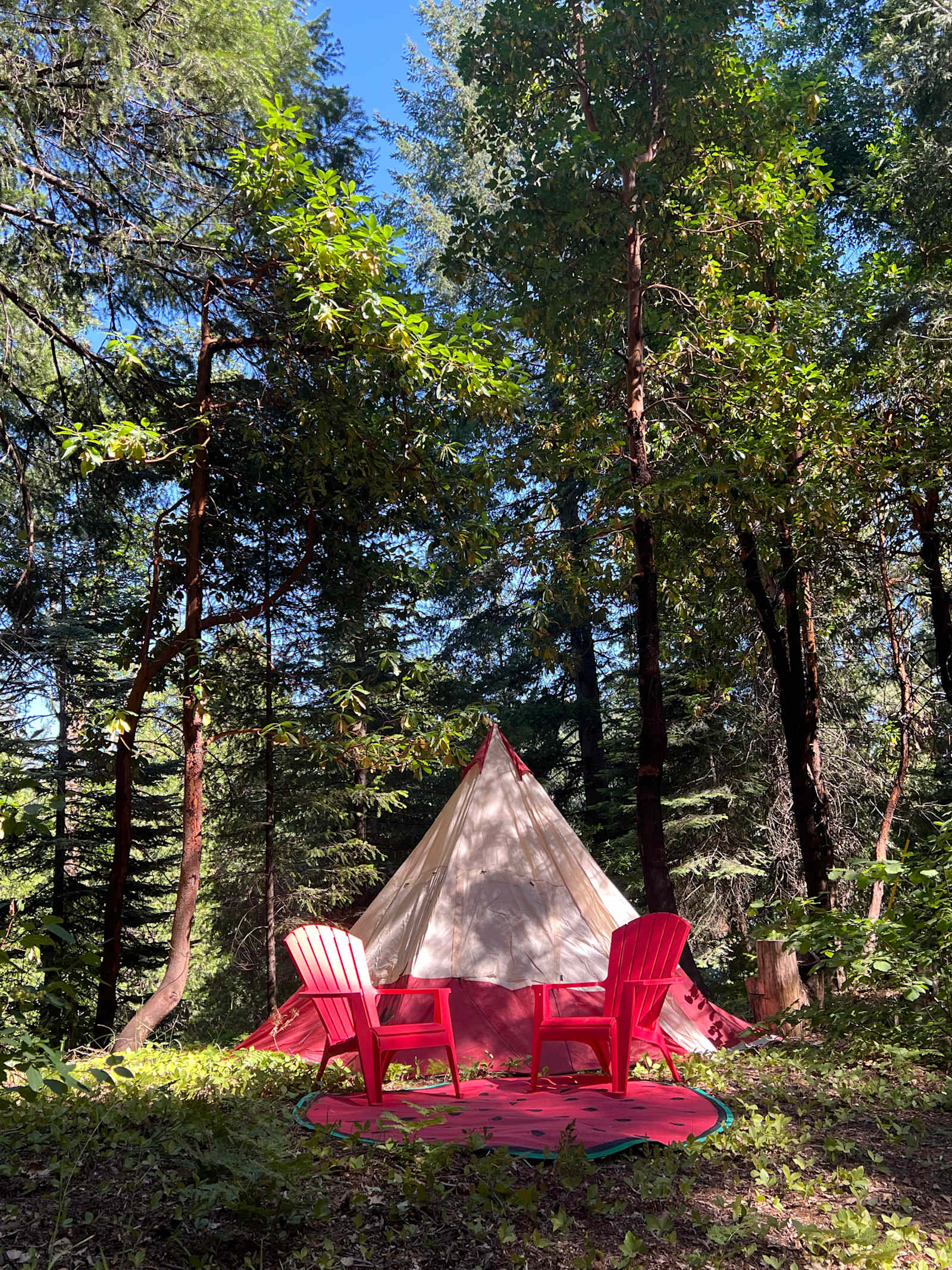 Birdsong Retreat/Tahoe Nat Forest - glamping.directory