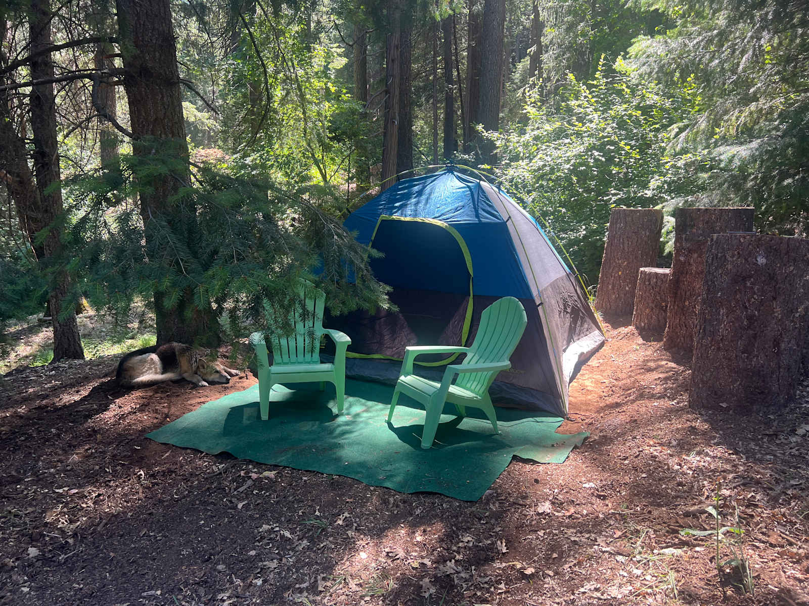 Birdsong Retreat/Tahoe Nat Forest - Nevada City, California - glamping.directory