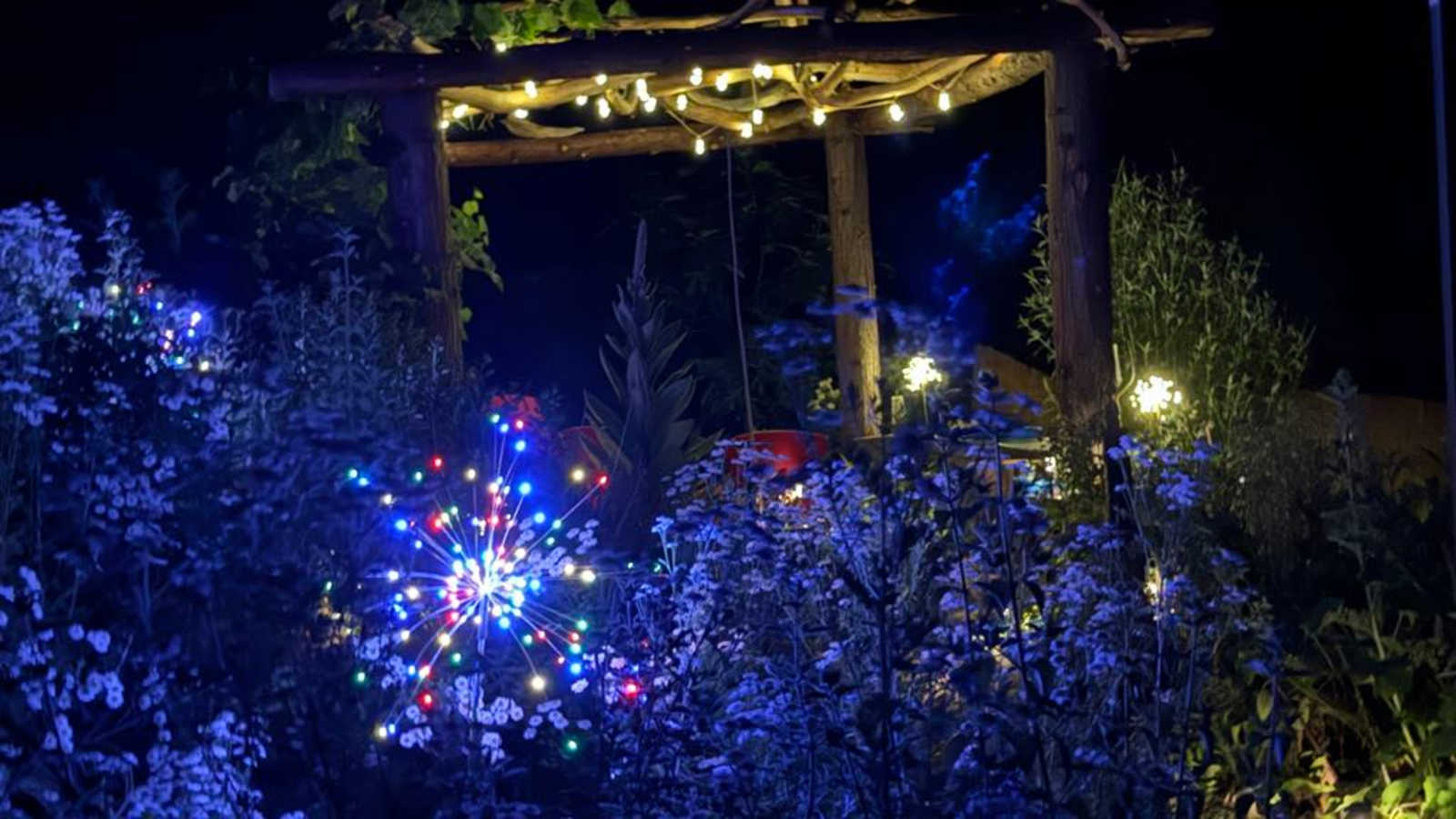 Birdsong Retreat/Tahoe Nat Forest - Nevada City, California - glamping.directory