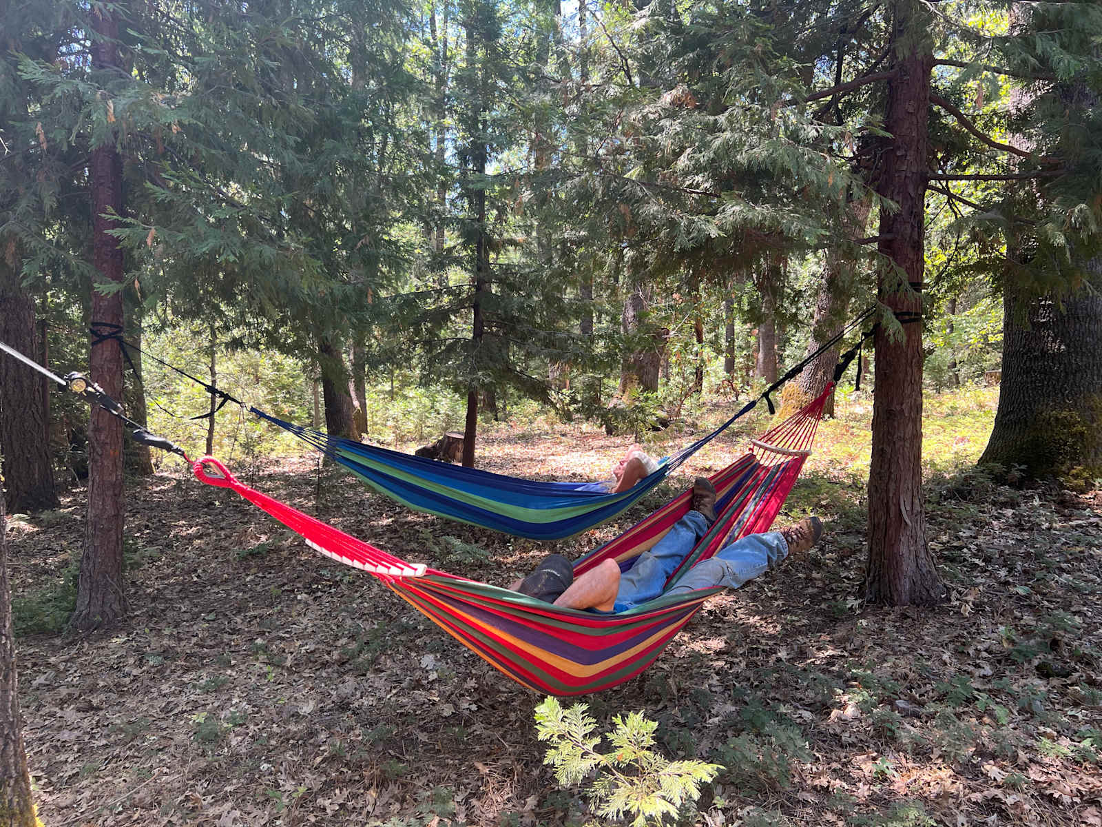 Birdsong Retreat/Tahoe Nat Forest - Nevada City, California - glamping.directory