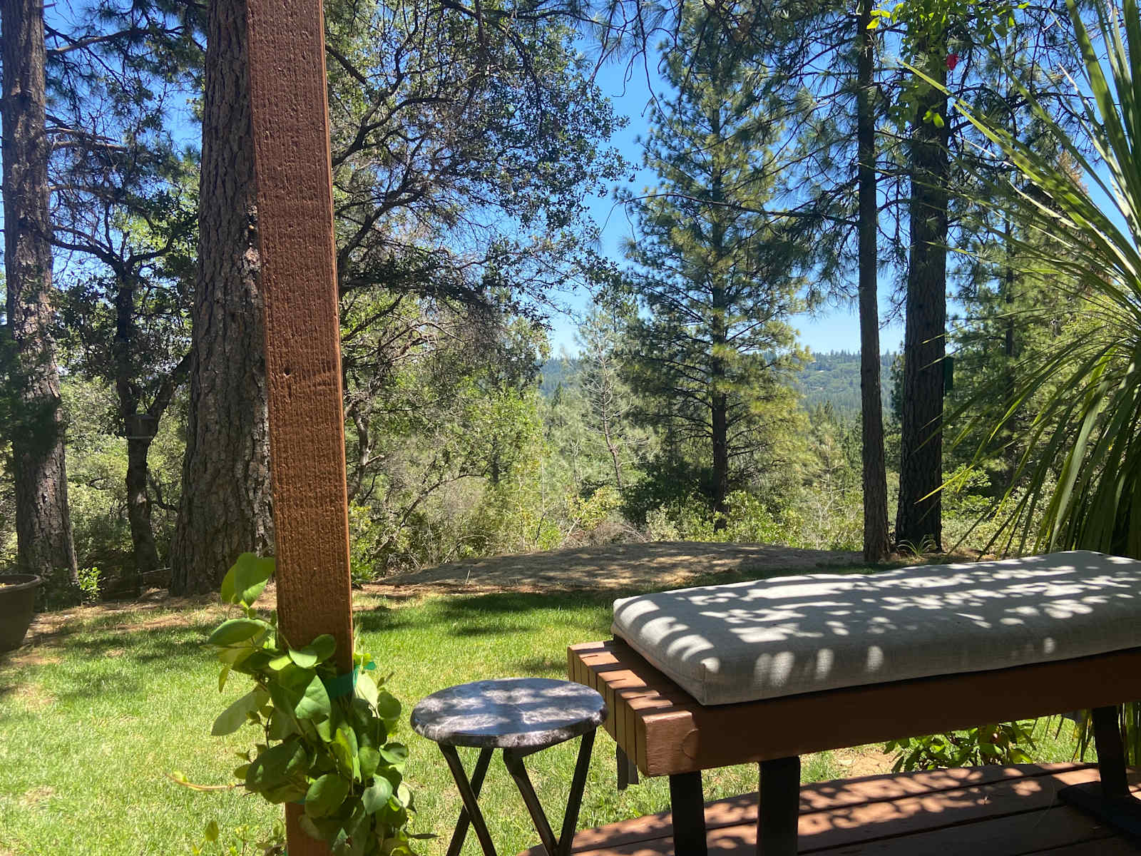 Peace in the Pines - glamping.directory