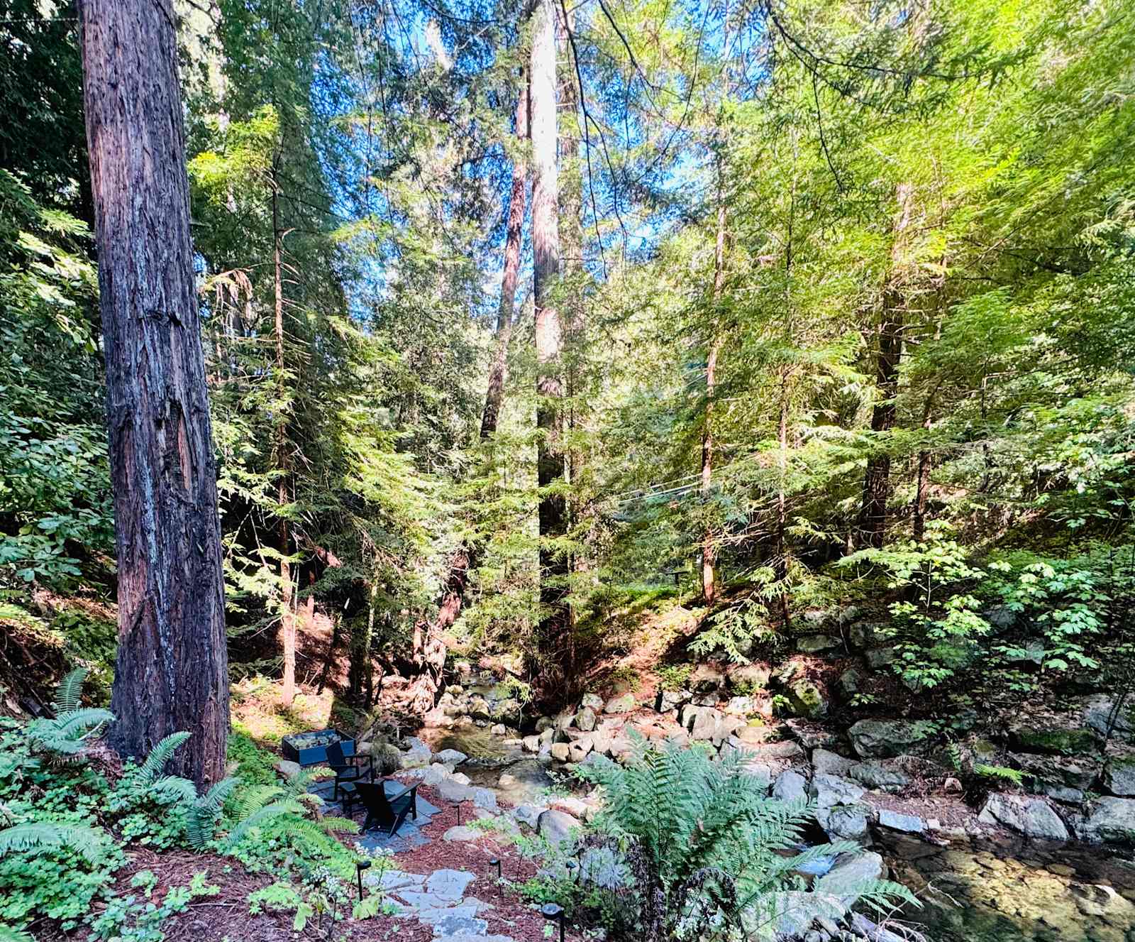 Leafy Lanes Tree House - Watsonville, California - glamping.directory