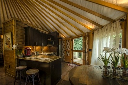 Chic Creek Yurt Comfy for Four in Topton, North Carolina - Topton, North Carolina - glamping.directory