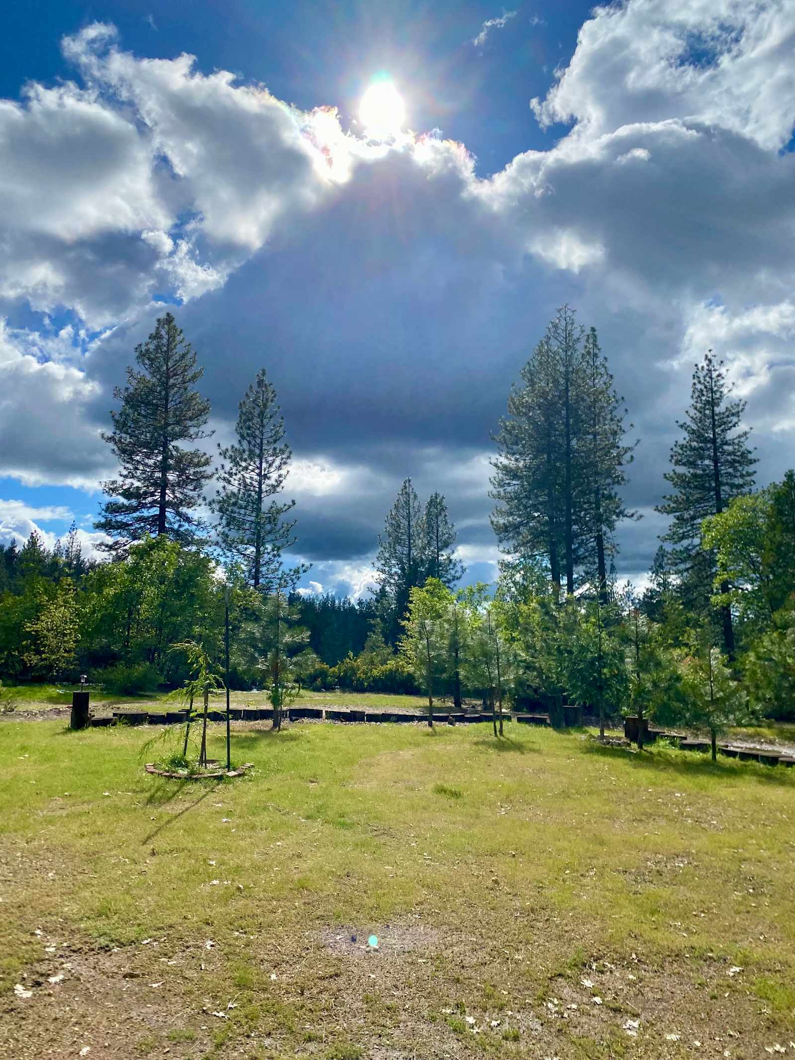 Alta Pines Camp - Dutch Flat, California - glamping.directory