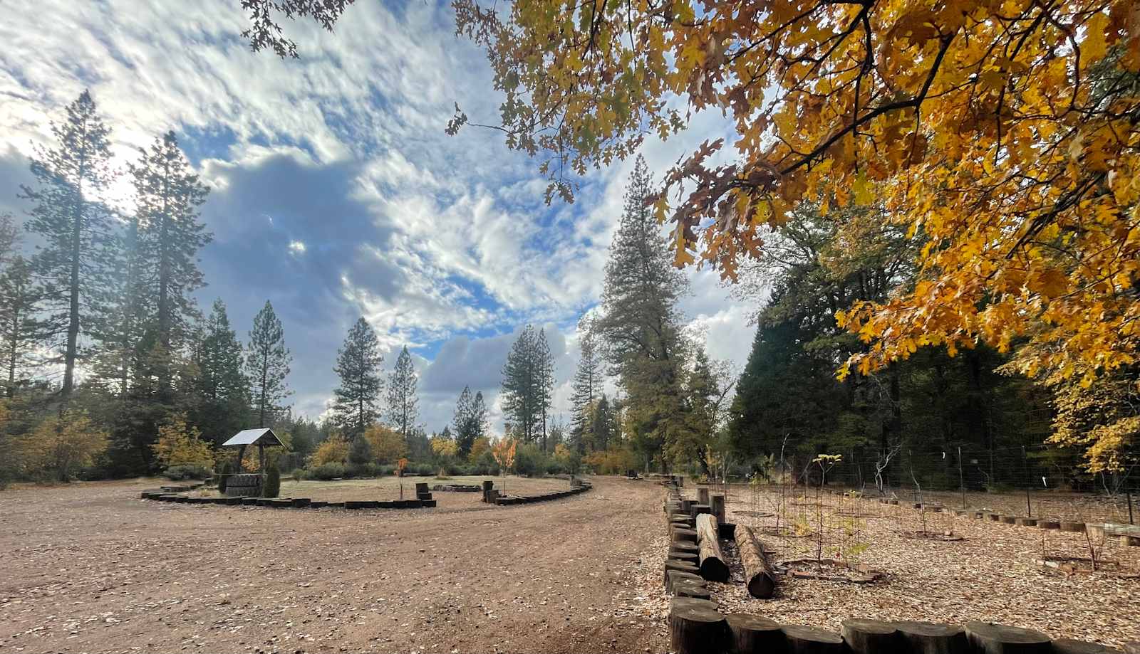 Alta Pines Camp - Dutch Flat, California - glamping.directory