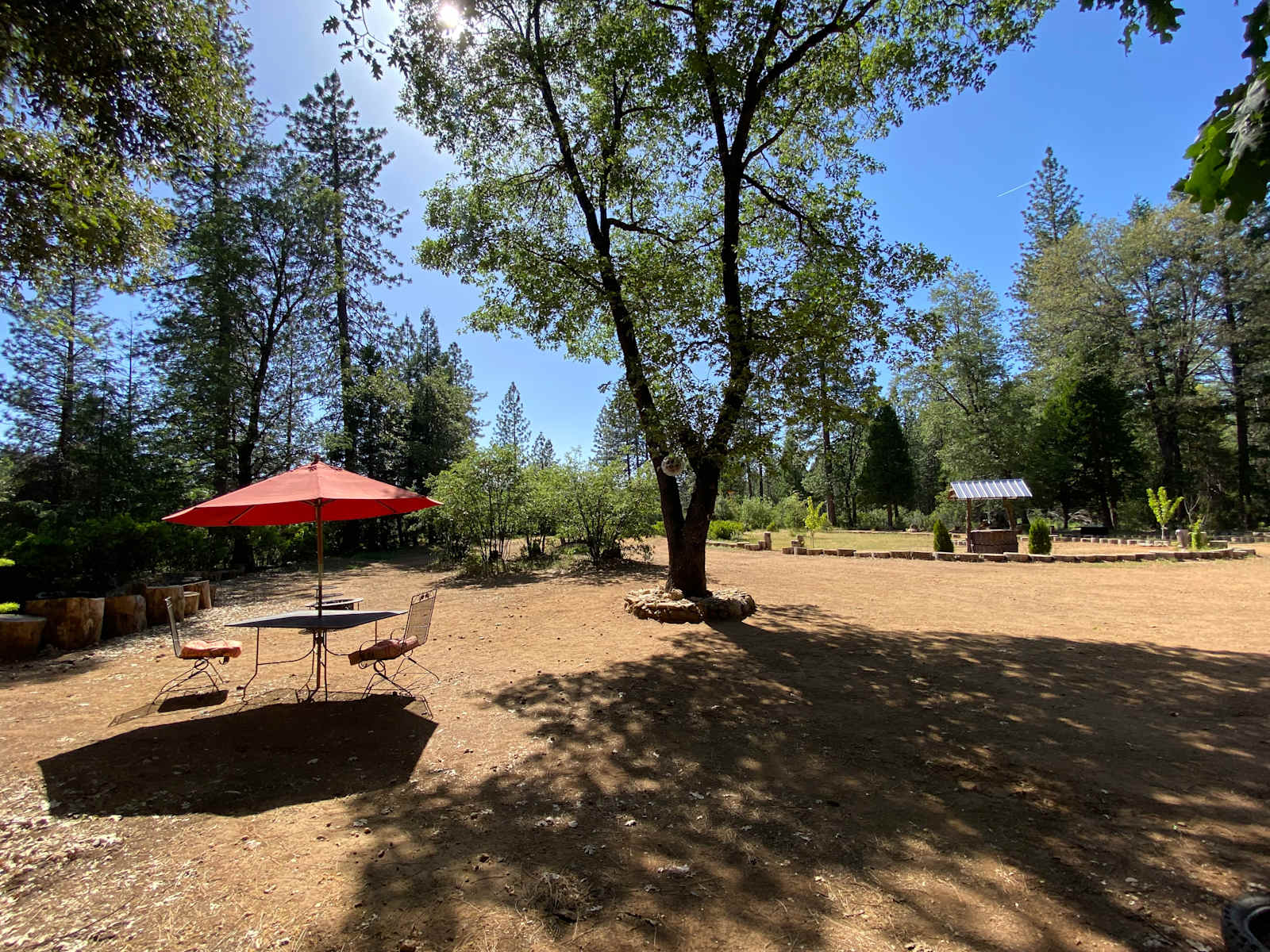 Alta Pines Camp - Dutch Flat, California - glamping.directory