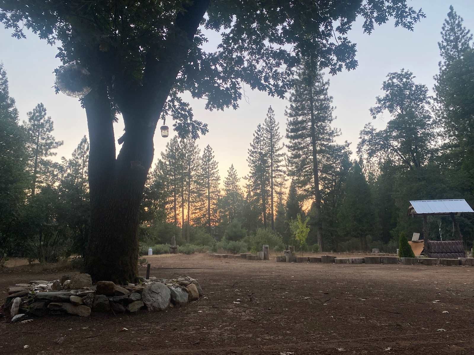 Alta Pines Camp - Dutch Flat, California - glamping.directory