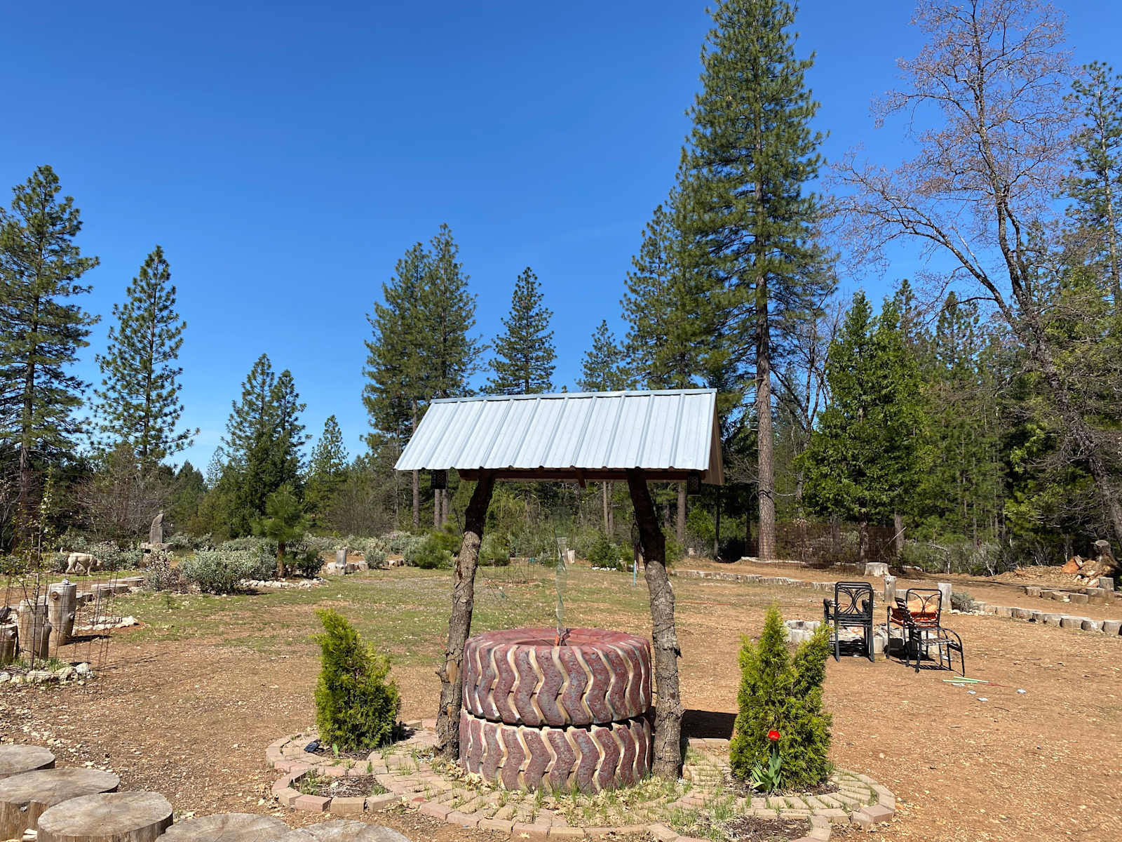 Alta Pines Camp - Dutch Flat, California - glamping.directory