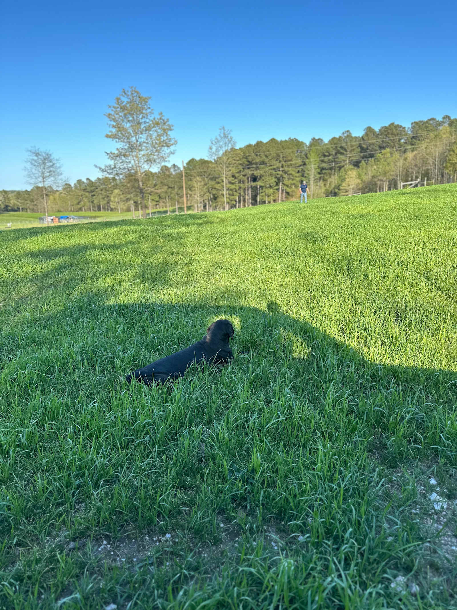 Cedar Creek Farms Camp - Lonsdale, Arkansas - glamping.directory