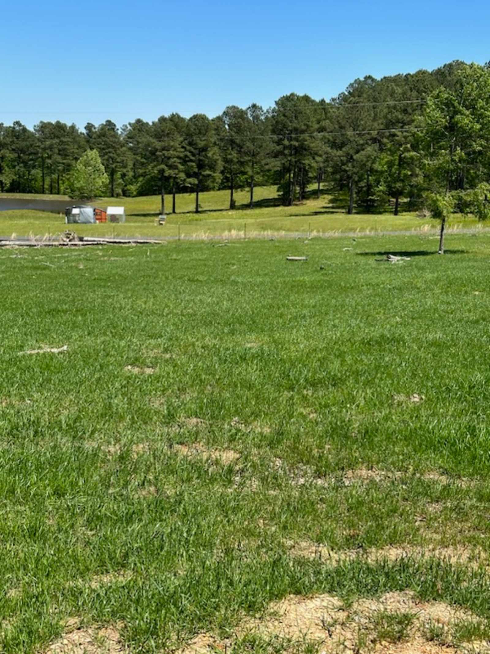 Cedar Creek Farms Camp - glamping.directory