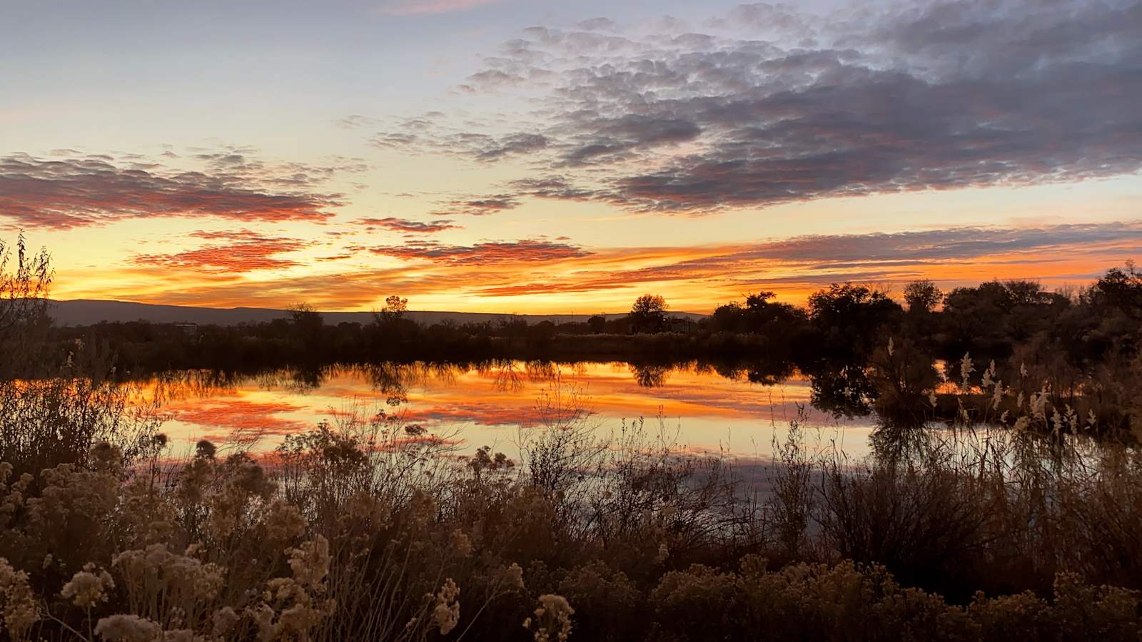 Colorado river Airstream - glamping.directory