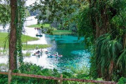 Stunning Cottage by the Rainbow River with Fantastic Amenities for a Wonderful Florida Escape - Dunnellon, Florida - glamping.directory
