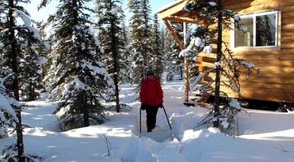 Traditional Cozy Cabin Getaway with Winter Dog Sledding in Fairbanks, Alaska - Fairbanks, Alaska - glamping.directory