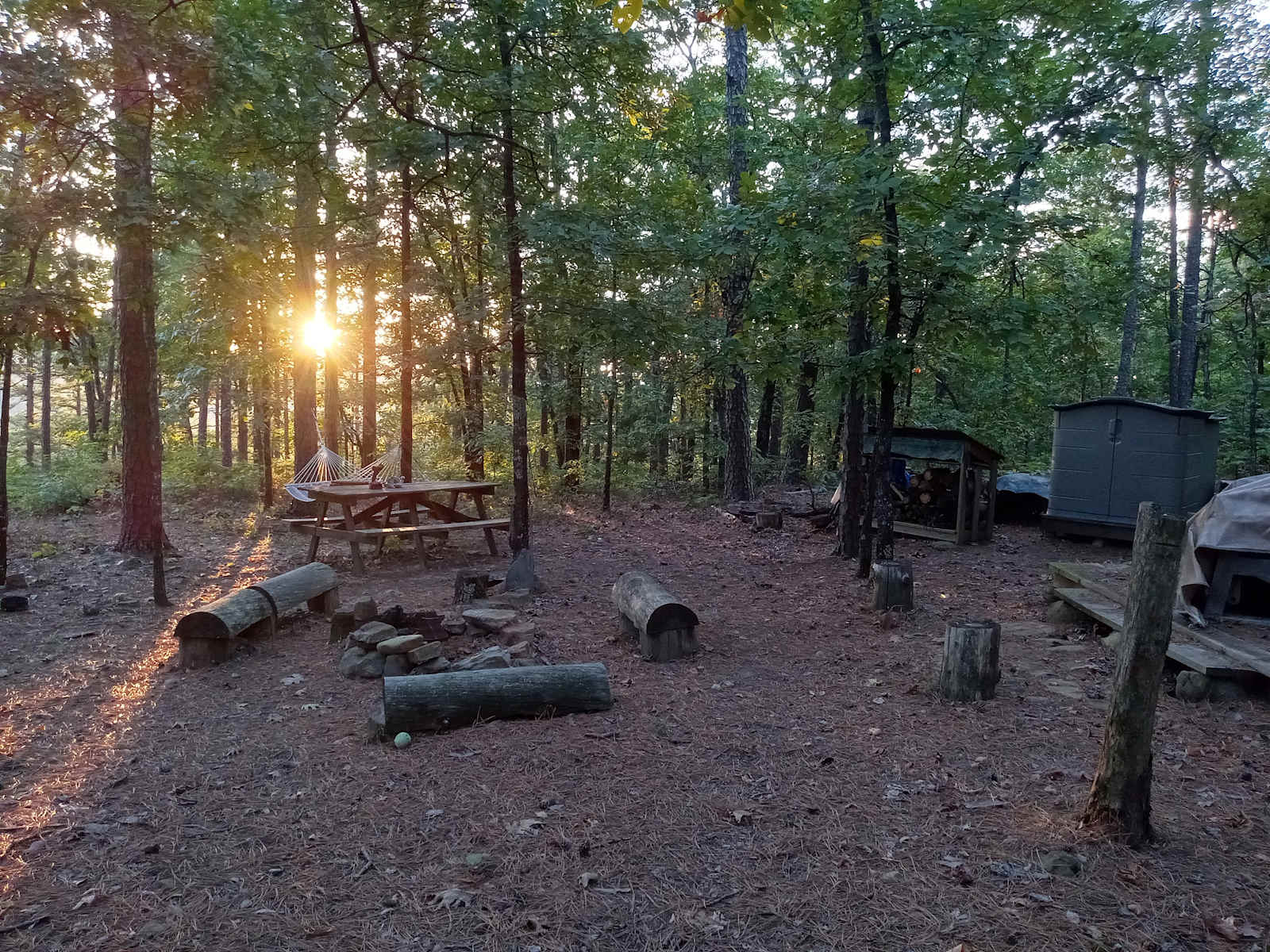 Private Pines By The Hollar - Witts Springs, Arkansas - glamping.directory