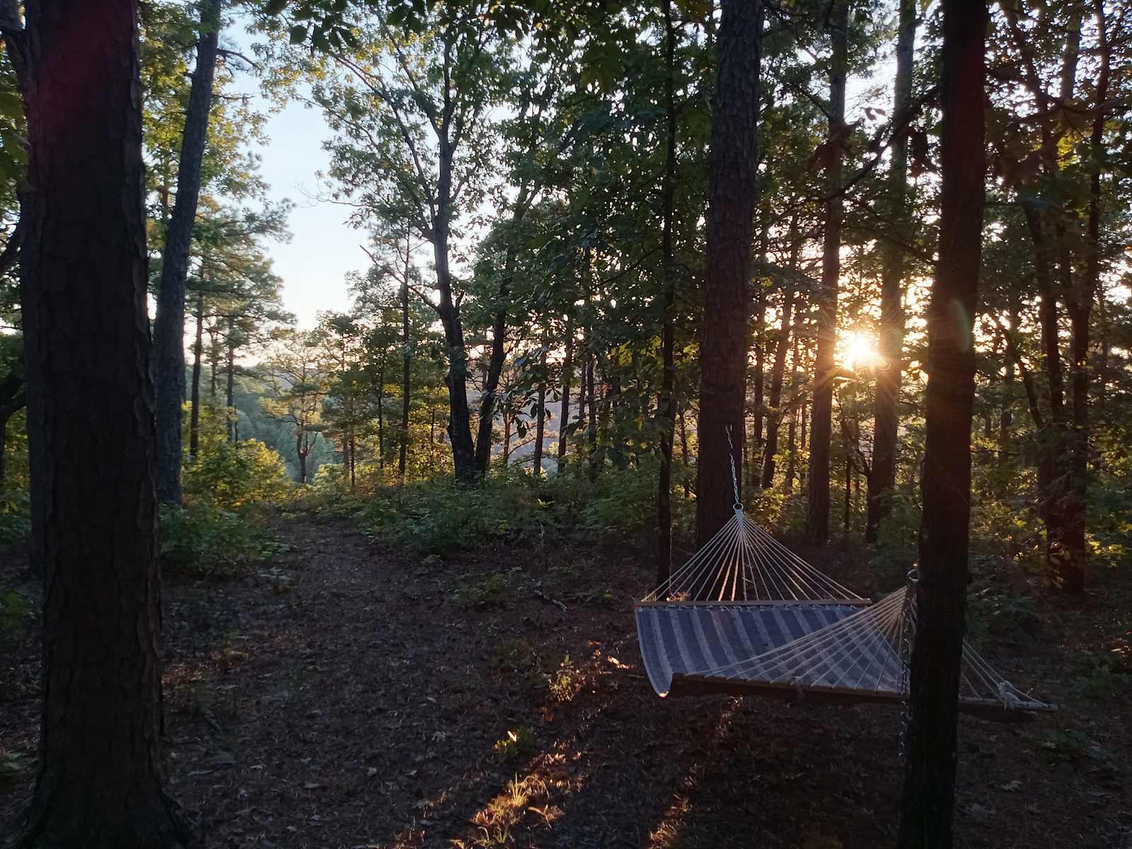 Private Pines By The Hollar - Witts Springs, Arkansas - glamping.directory