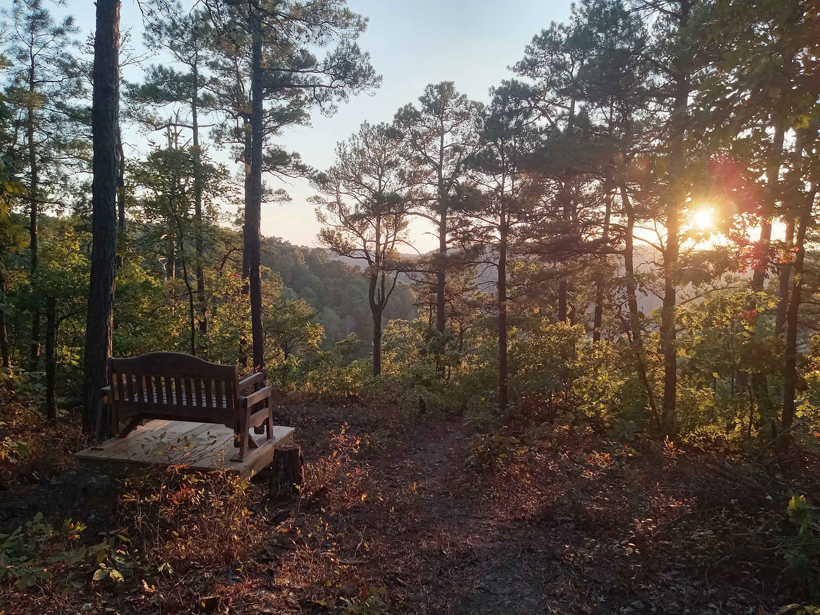 Private Pines By The Hollar - glamping.directory
