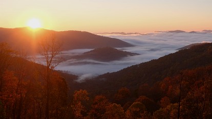 Peaceful Eclectic Mountain Cabin with Screened Porch Near Black Mountain | Black Mountain, NC - Black Mountain, North Carolina - glamping.directory