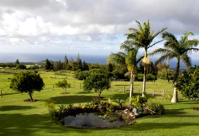 Modern and Eco-Friendly Bungalow on the Big Island of Hawaii - Hawi, Hawaii - glamping.directory