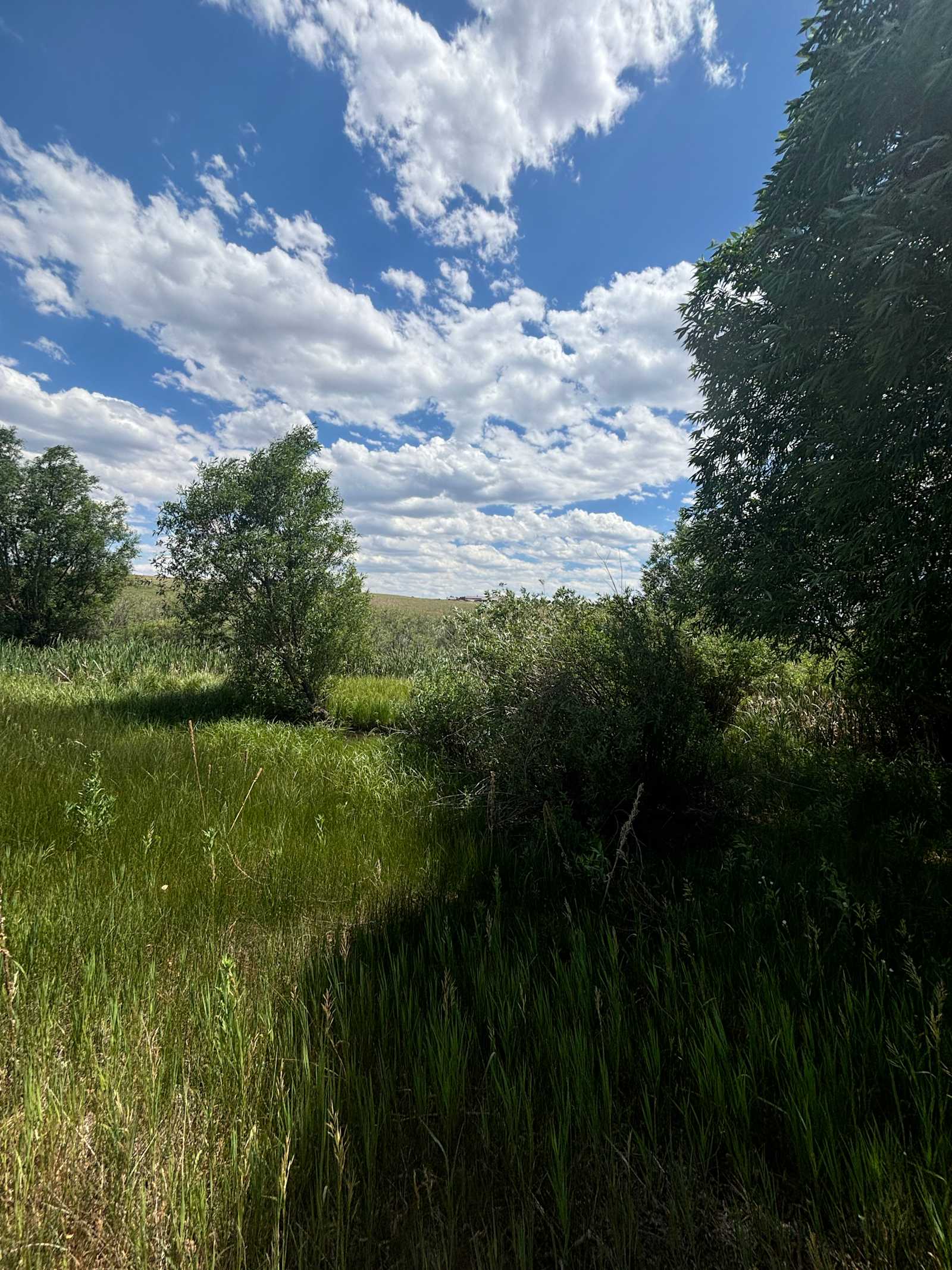 Little Creek - Larkspur, Colorado - glamping.directory