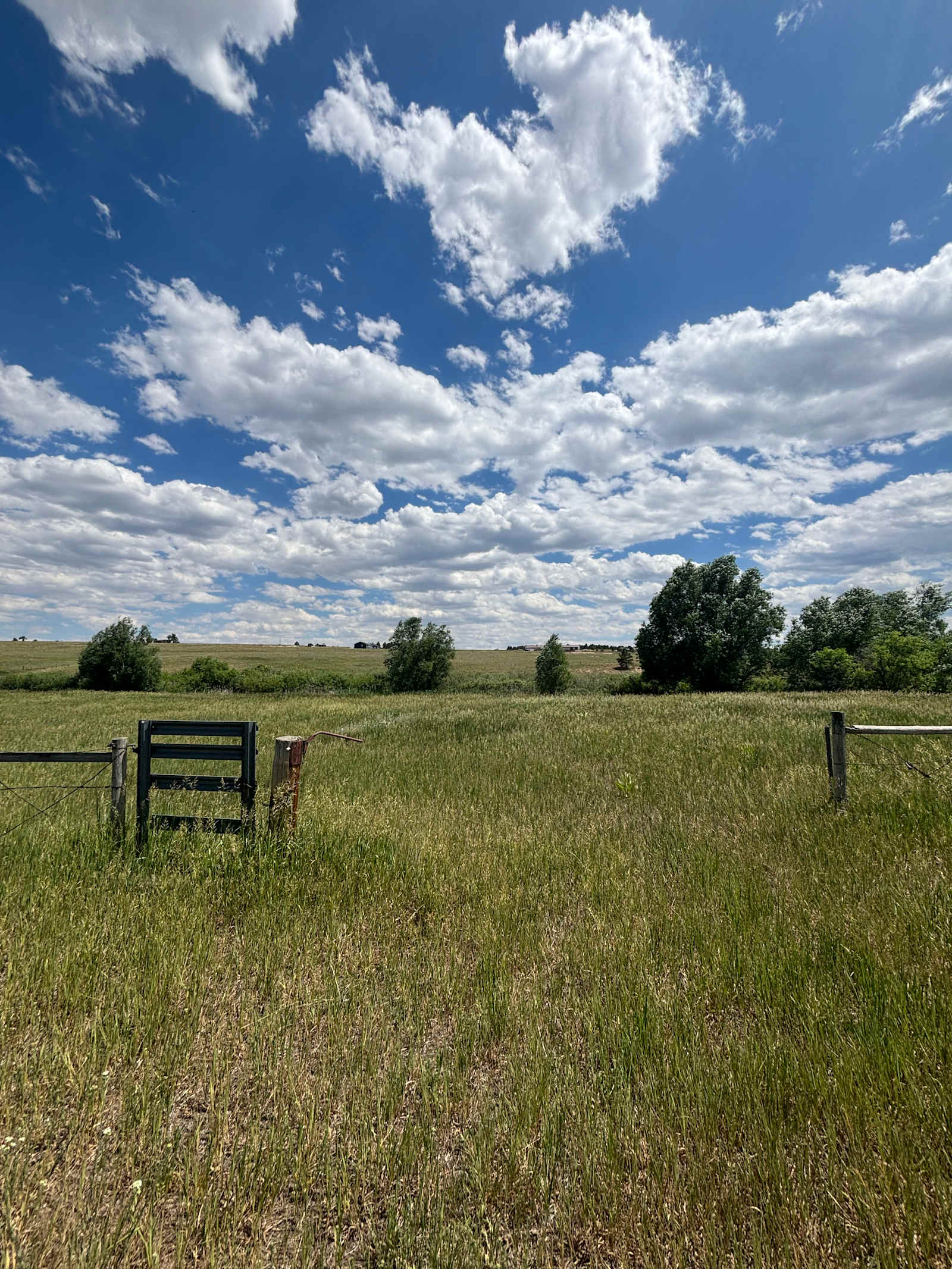 Little Creek - Larkspur, Colorado - glamping.directory