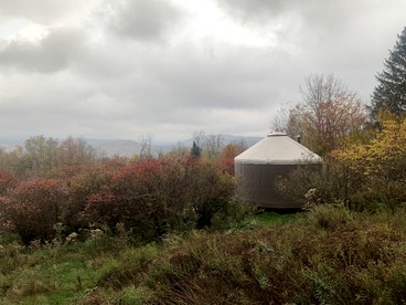 Cozy Unique Tiny Cabin with Beautiful Views in Livingston Manor, New York - Livingston Manor, New York - glamping.directory
