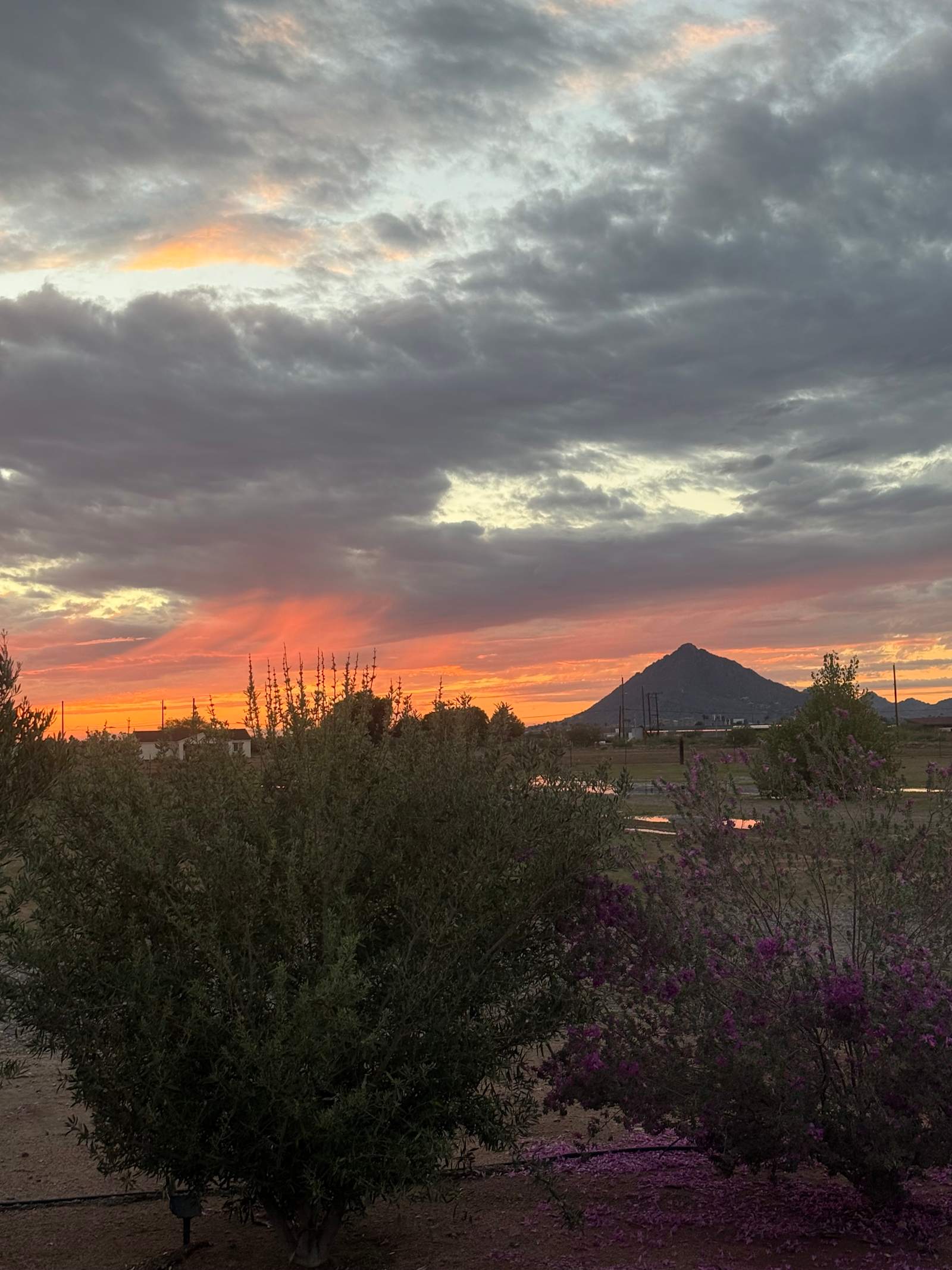 Hobby Farm Oasis - Scottsdale, Arizona - glamping.directory