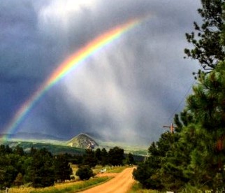 Amazing Pet-Friendly Cabin for Five Guests near Cortez, Colorado - Mancos, Colorado - glamping.directory