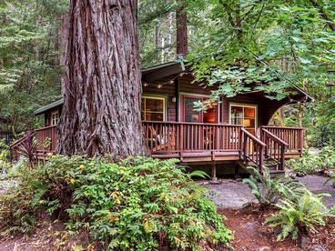 Sonoma County Romantic Getaways in this Creekside Cabin in the Redwood Forest - Guerneville, California - glamping.directory