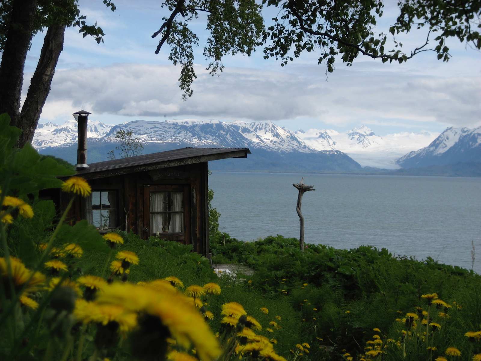 Seaside Farm - Homer, Alaska - glamping.directory