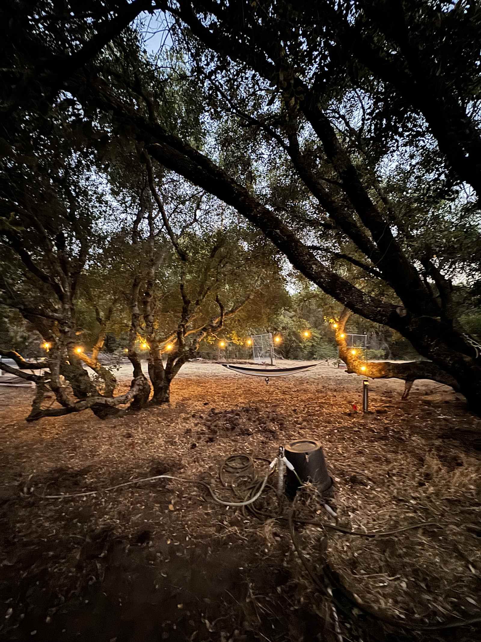 El Niños Oaks - River Pines, California - glamping.directory