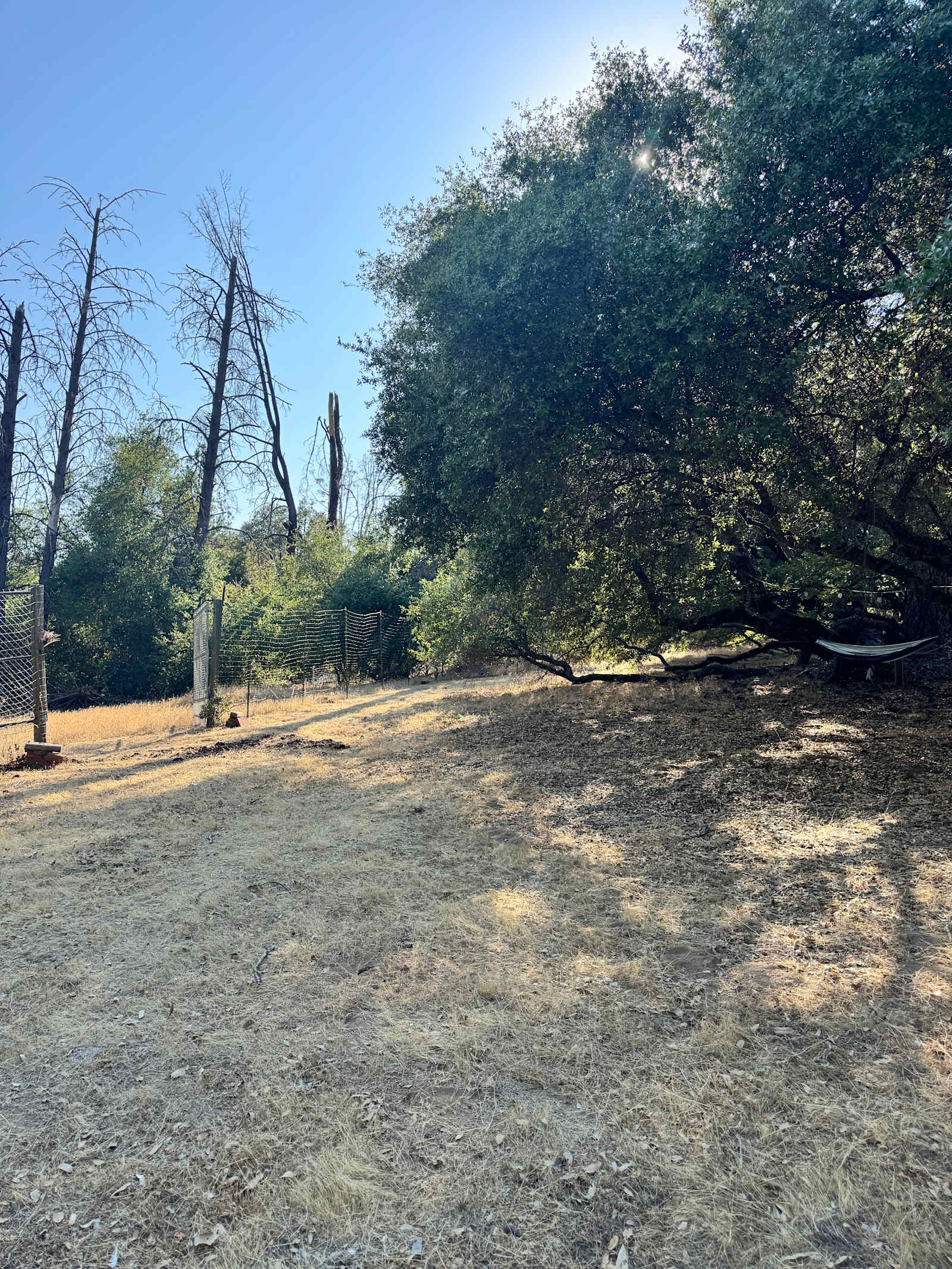 El Niños Oaks - River Pines, California - glamping.directory