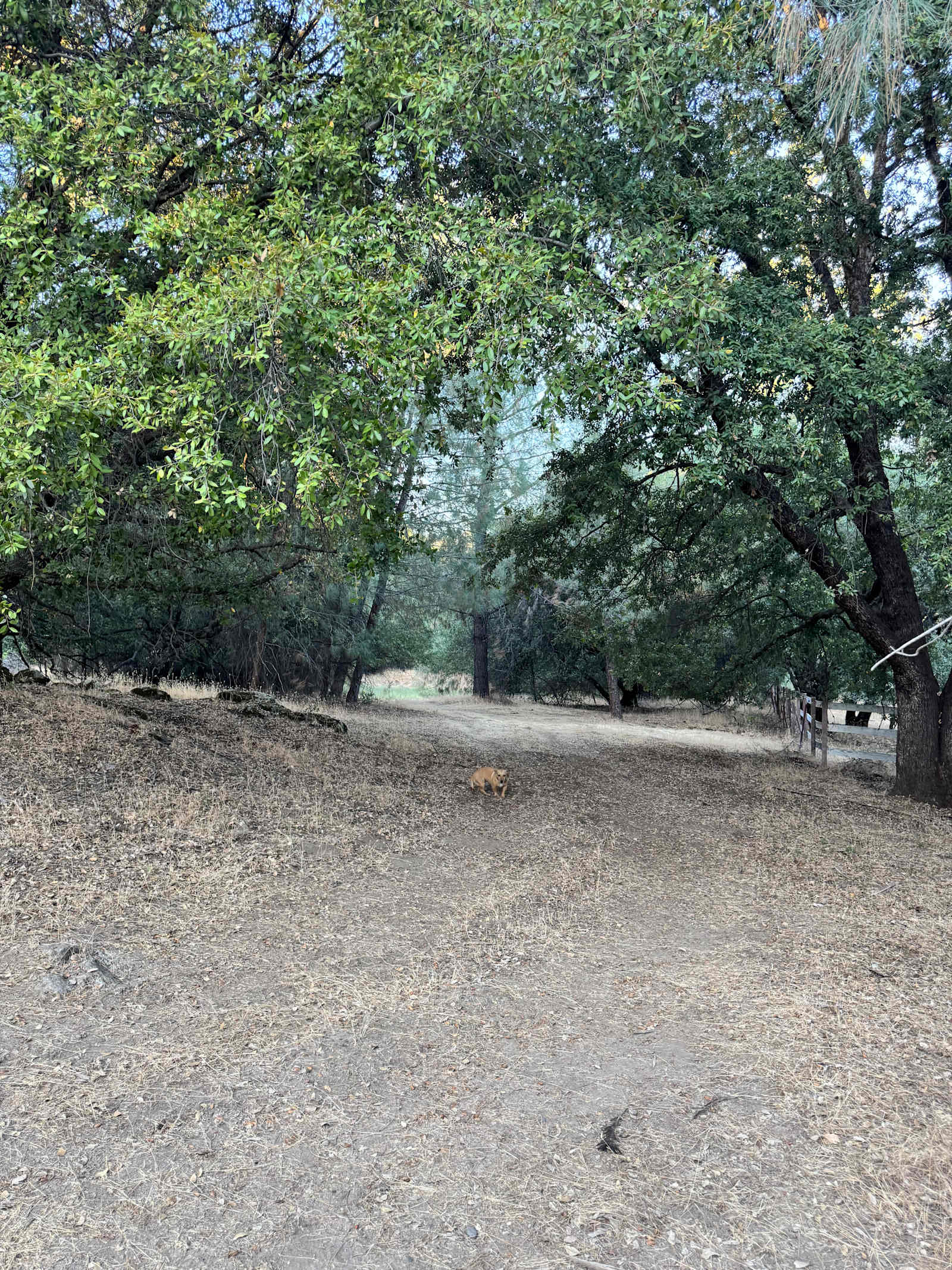 El Niños Oaks - glamping.directory