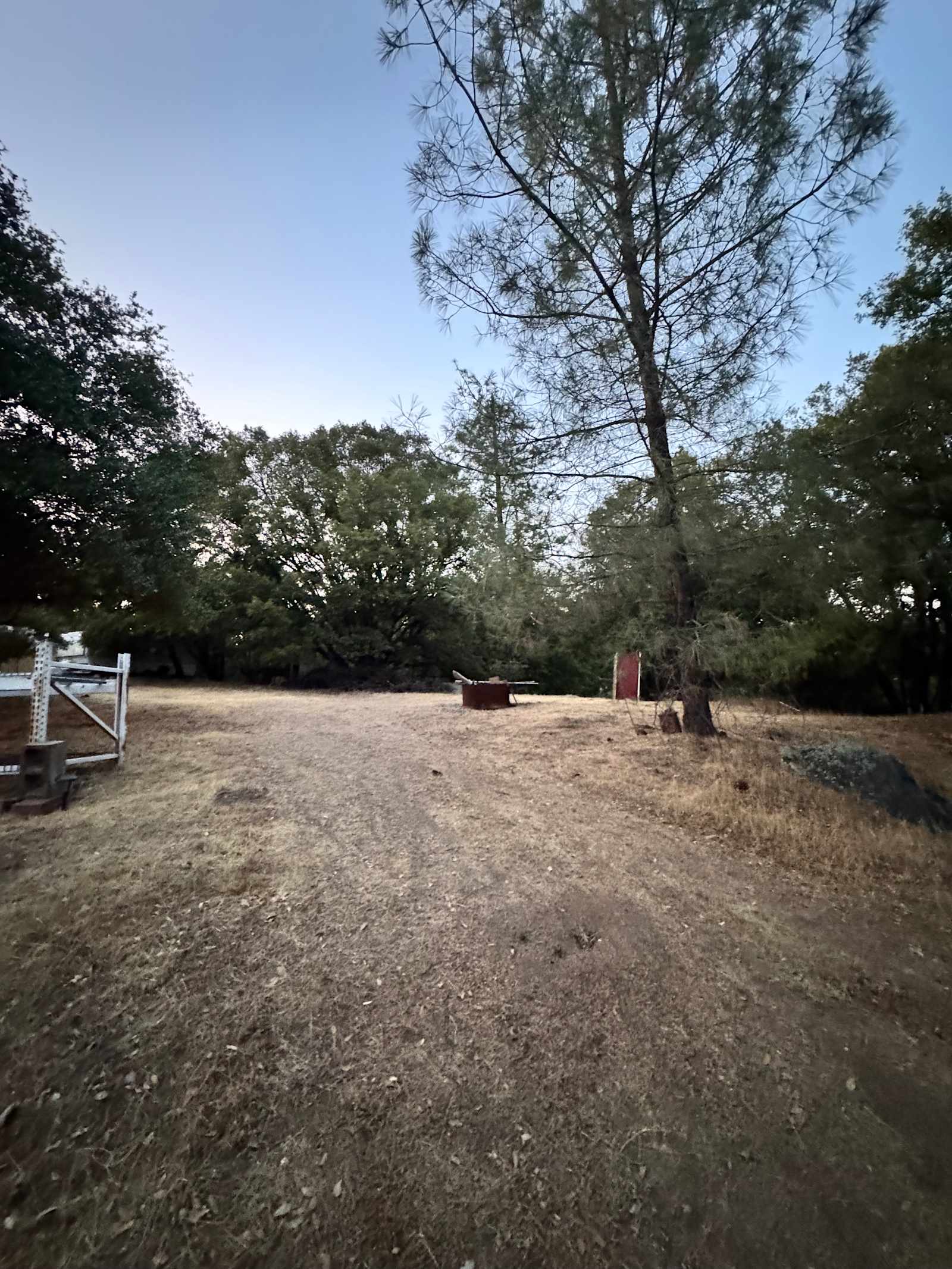 El Niños Oaks - River Pines, California - glamping.directory
