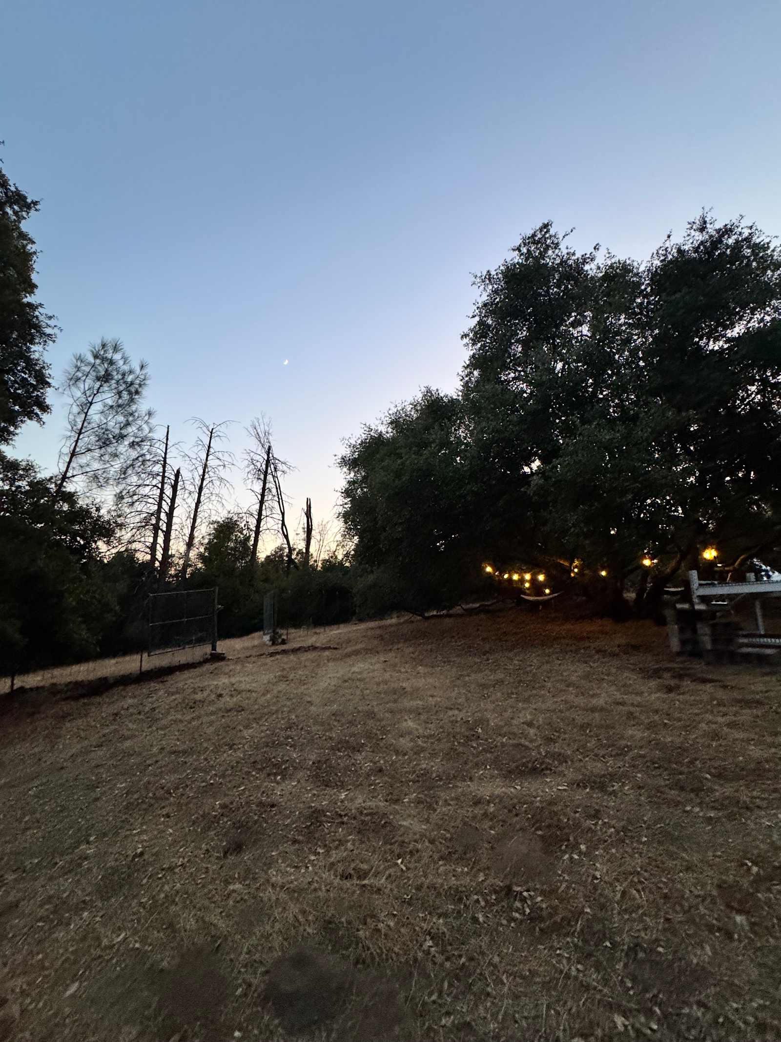 El Niños Oaks - River Pines, California - glamping.directory