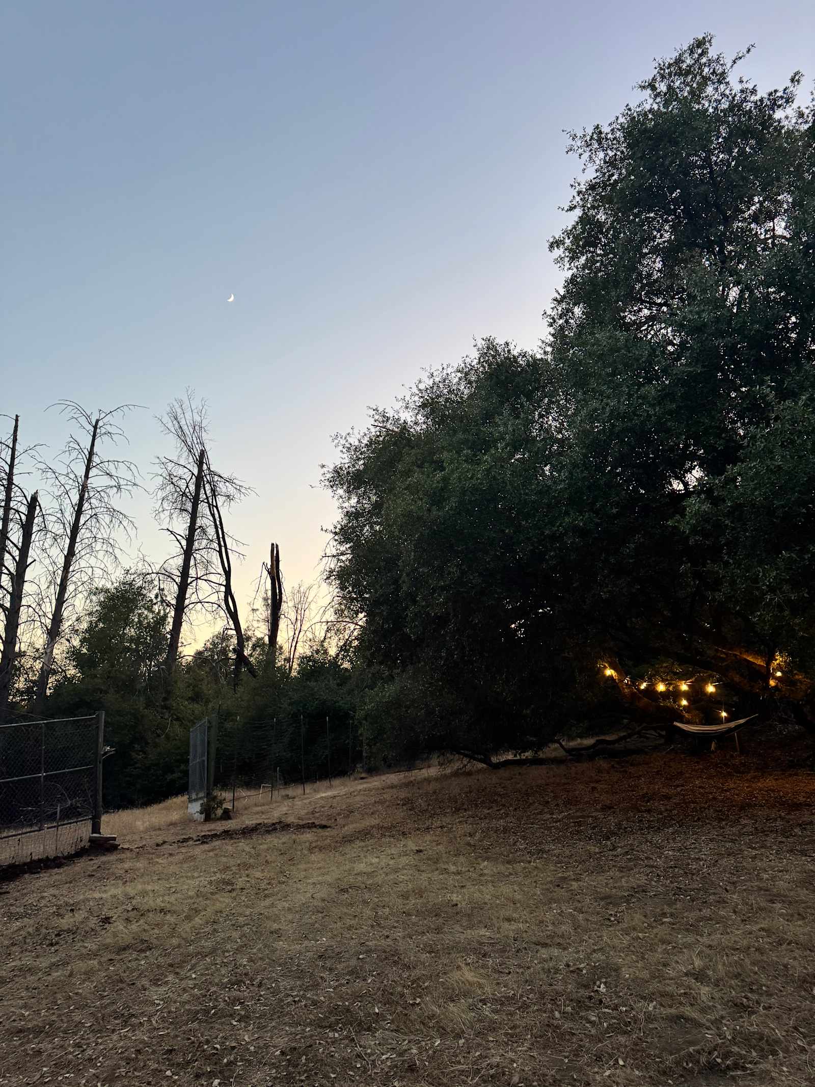 El Niños Oaks - River Pines, California - glamping.directory