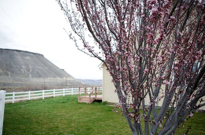 Private and Spacious Bed and Breakfast Perfect for Reunions or Events in Idaho - King Hill, Idaho - glamping.directory
