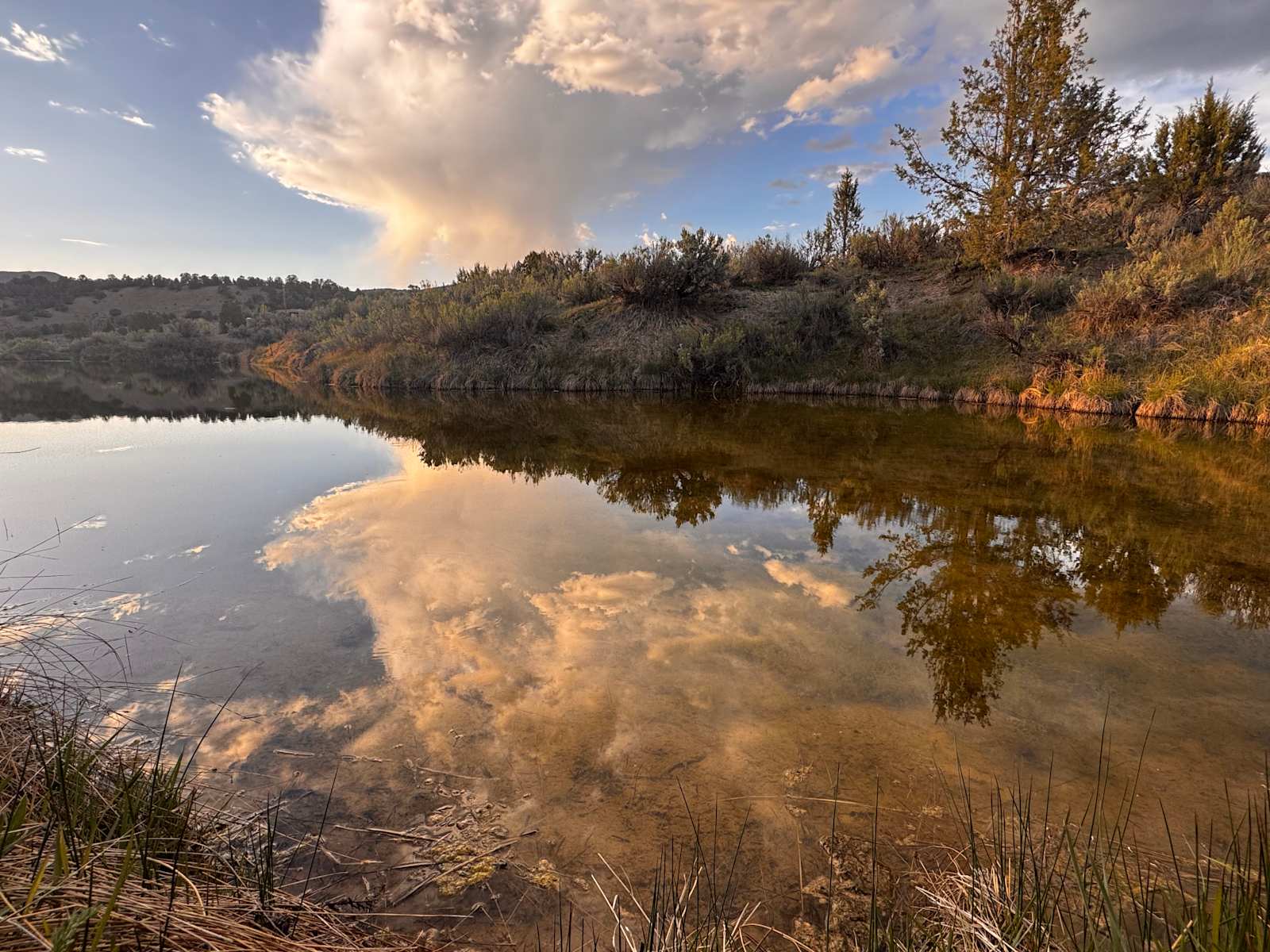 3 Pond Ranch - Rifle, Colorado - glamping.directory