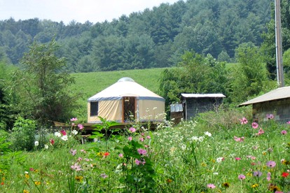 Magical Marshall Accommodation Ideal for a Peaceful Getaway in North Carolina - Marshall, North Carolina - glamping.directory