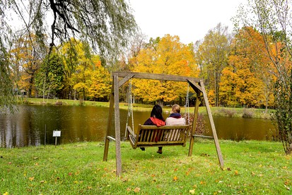 Eco-Friendly Glamping Cabin with Yoga, Ideal for an Outdoor Adventure near Ann Arbor! - Manchester, Michigan - glamping.directory