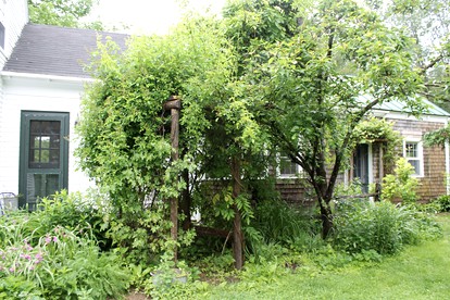 Rustic Cabin on Organic Farm and Creamery in Maine - Whitefield, Maine - glamping.directory