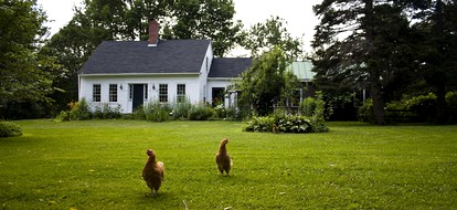 Rustic Cabin on Organic Farm and Creamery in Maine - glamping.directory
