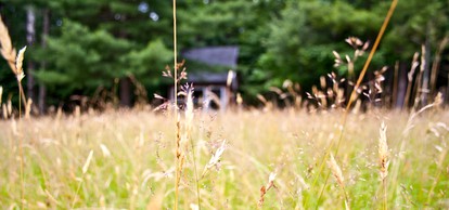 Rustic Cabin on Organic Farm and Creamery in Maine - Whitefield, Maine - glamping.directory