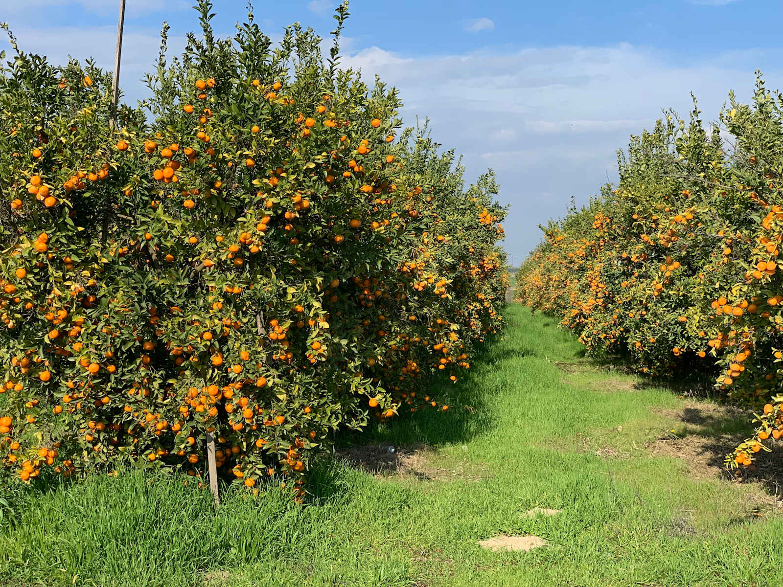 Organic Farm Boondock Camp - glamping.directory