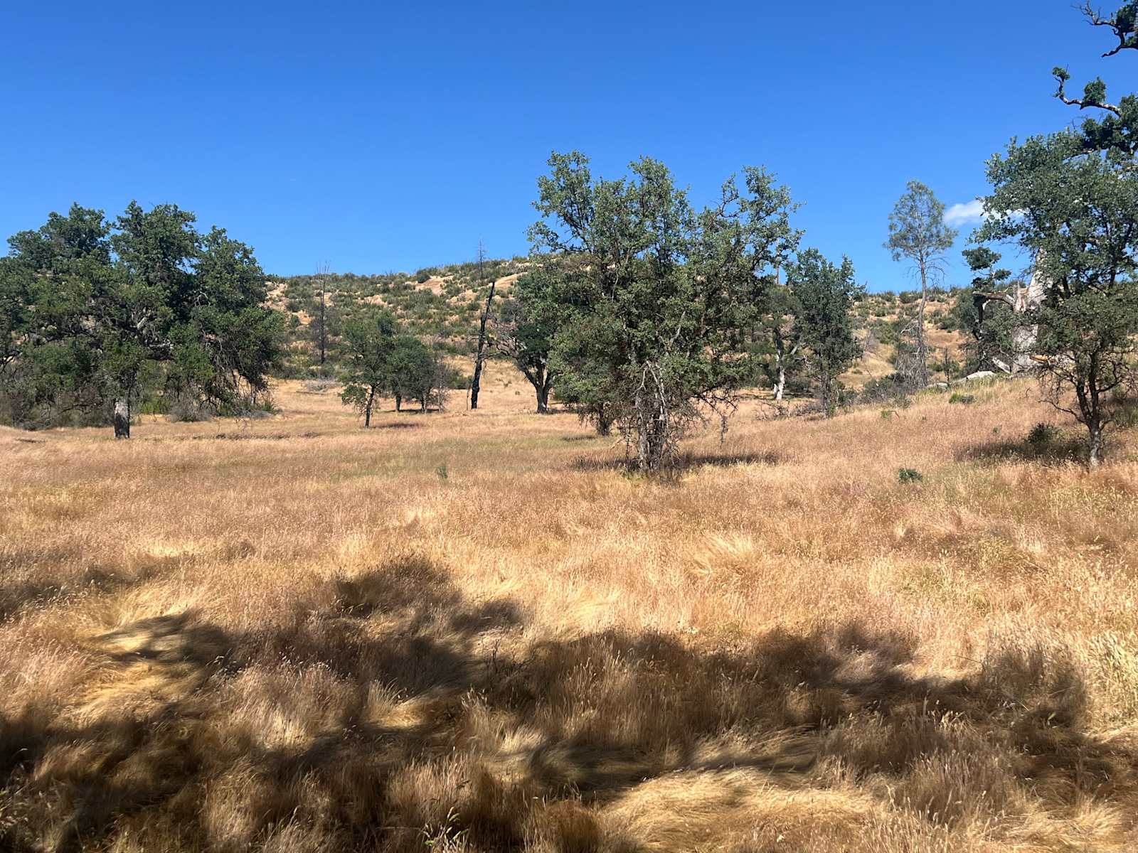 The Rainbow Junction - Livermore, California - glamping.directory