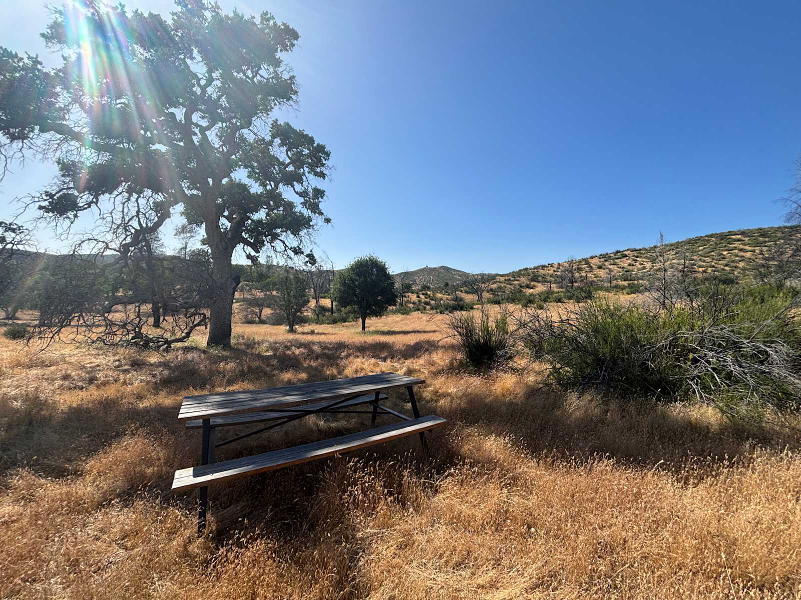 The Rainbow Junction - Livermore, California - glamping.directory